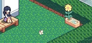 寻找夏日的宝物后院向日葵光球位置