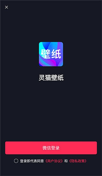 灵猫壁纸截图1