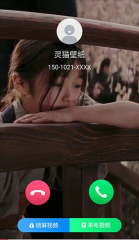 灵猫壁纸截图4