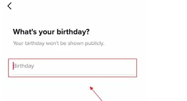 tiktok国际版注册步骤3：设置生日日期