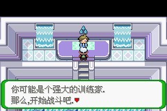 冰系道馆外观图