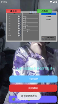 大象直装成功开启辅助可使用的界面