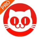 猫眼专业版