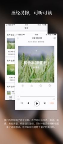 微读圣经原版