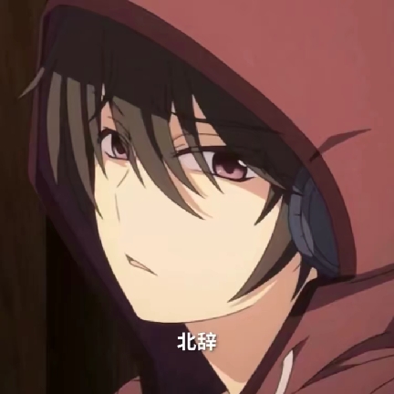 北辭弱網內部版